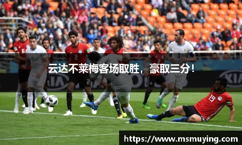 NG体育官网