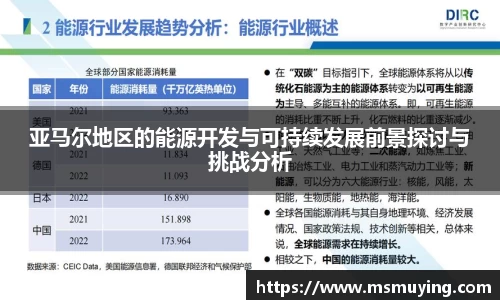 亚马尔地区的能源开发与可持续发展前景探讨与挑战分析