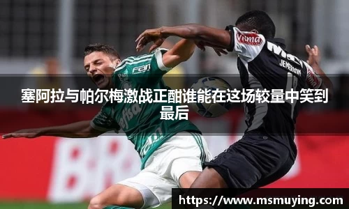 塞阿拉与帕尔梅激战正酣谁能在这场较量中笑到最后