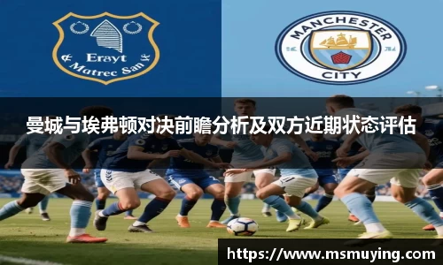 NG体育官网
