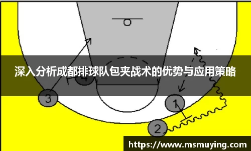 深入分析成都排球队包夹战术的优势与应用策略