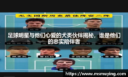 足球明星与他们心爱的犬类伙伴揭秘，谁是他们的忠实陪伴者