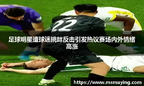 足球明星遭球迷挑衅反击引发热议赛场内外情绪高涨