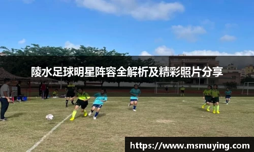 陵水足球明星阵容全解析及精彩照片分享