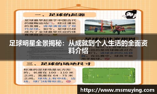 足球明星全景揭秘：从成就到个人生活的全面资料介绍